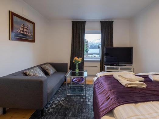 Aurora Dream House Apartment With Free Parking 트롬쇠 외부 사진